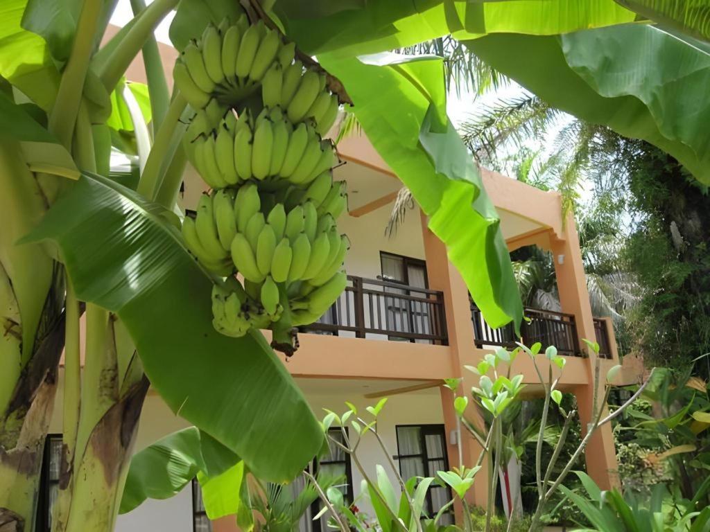 Khaolak Palm Hill Resort Khaulak Kültér fotó